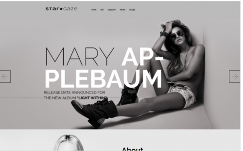 Stargaze – Media & Celebrity Responsive WordPress Theme stargaze media celebrity responsive wordpress theme