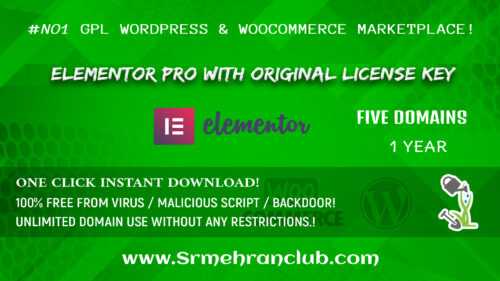 Elementor pro 100% original with license key on cheap price