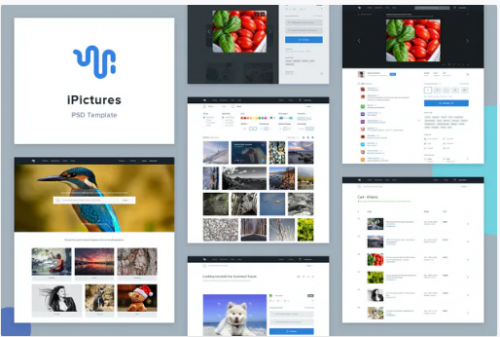 iPictures Stock Image Website PSD Template ipictures stock image website psd template