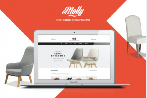 Molly ECommerce PSD Template tyk