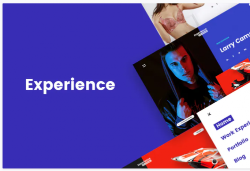 Experience – CV/Resume PSD Template experience – cvresume psd template