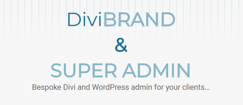 Divi Brand & Super Admin 1.2 divi brand super admin