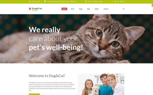 Dog & Cat – Pet Clinic Responsive Joomla Template dog cat pet clinic responsive joomla template