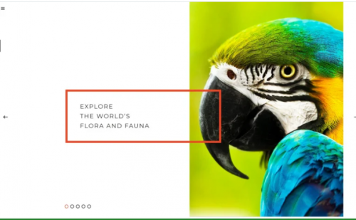 Zoo – Flora & Fauna Responsive Joomla Template zoo flora fauna responsive joomla template