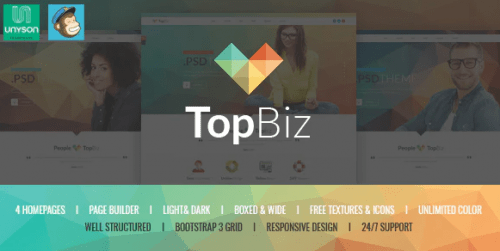 TopBiz Responsive Corporate WordPress Theme