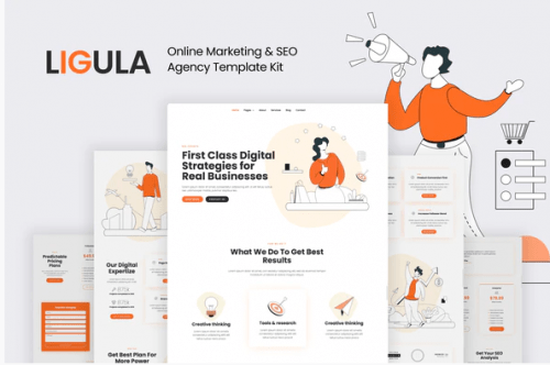 Ligula — Online Marketing SEO agency Template Kit