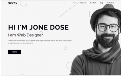 Skyflypro Portfolio WordPress Theme