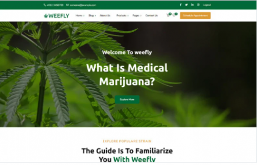 Weefly Medical Cannabis Marijuana WordPress Theme