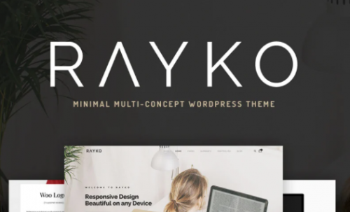 Rayko Minimal Multi Concept WooCommerce Theme