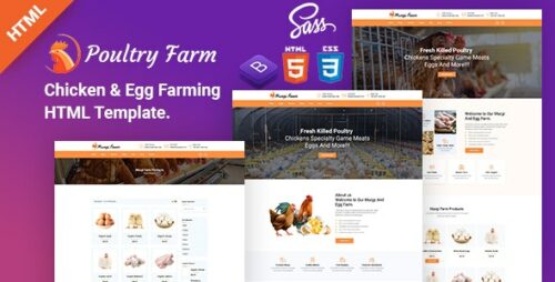 Organic Poultry HTML Template.