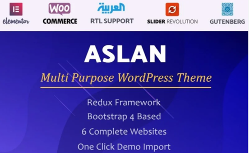 Aslan | Multi-Purpose Elementor WordPress Theme