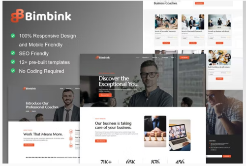 Bimbink - Business Coach & Consulting Elementor Template Kit