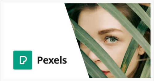 Pexels - Import Free Stock Images into WordPress