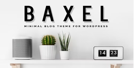Baxel - Minimal Blog Theme for WordPress