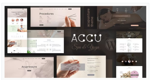 Accu - Healthcare, Massage WordPress Theme