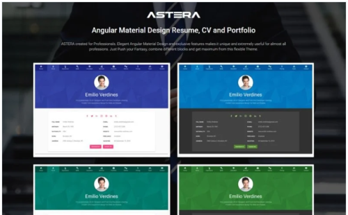 Astera - Resume, CV and Portfolio Angular Material Design Website Template