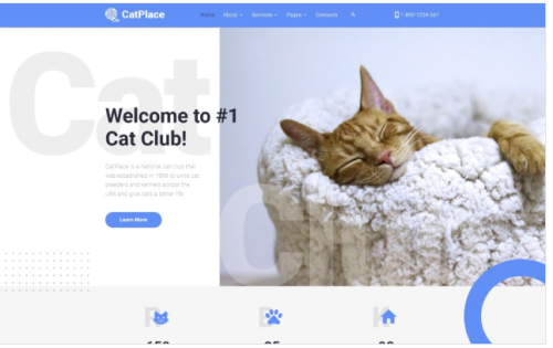 Cat Place - Animals & Pets Multipage HTML Website Template