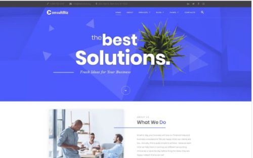 ConsultBiz - Financial Advisor Multipage Classic HTML Bootstrap Website Template