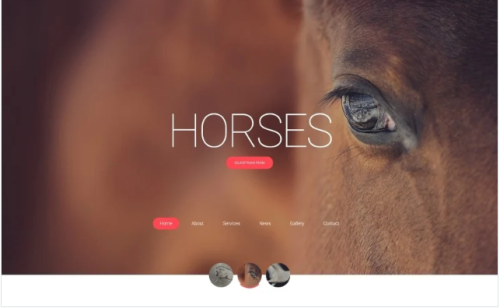 Horses - Horse Responsive Creative HTML Website Template