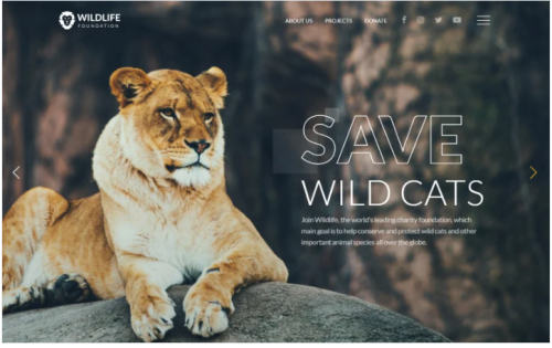 WildLife - Wild Life Multipage Creative HTML Website Template