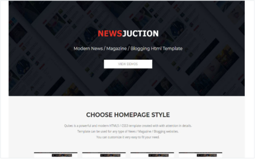 Newsjunction Website Template