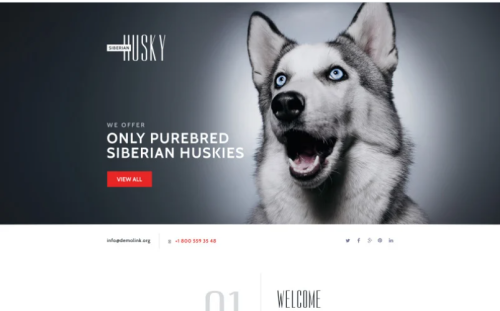 Canine Landing Page Template