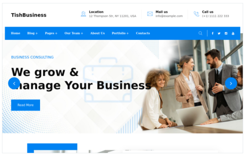 TishBusiness - Corporate and Business WordPress Theme