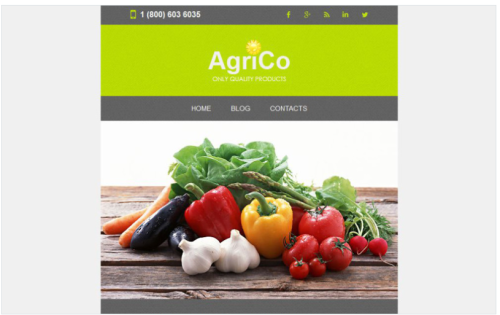 Agriculture Responsive Newsletter Template