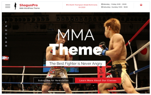 ShogunPro - MMA WordPress Theme