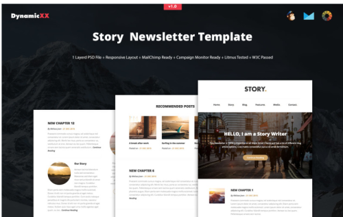Story Newsletter Template + MailChimp + Compaign Monitor Ready
