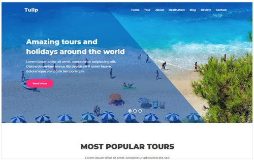 Tulip - Travel Agency Landing Page Template