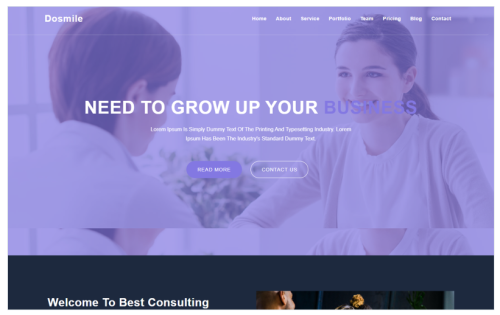 Dosmile Consulting & Business HTML5 Landing Page Template