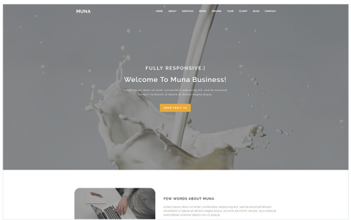 Muna - Business Landing Page Template