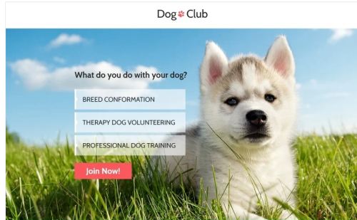 Dog Club - Dog Breeder Compatible with Novi Builder Landing Page Template