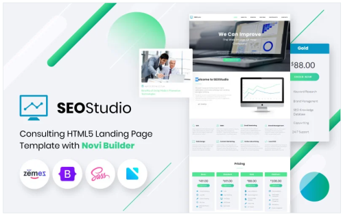 SEO Studio - Consulting HTML with Novi Builder Landing Page Template