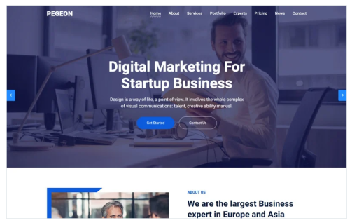 Pegeon - Business and Consulting Landing Page Template