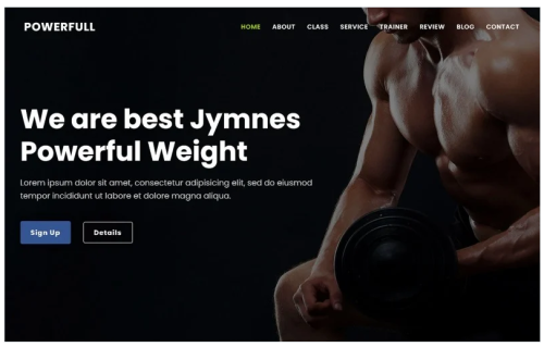 Powerful - Gym & Fitness Landing Page Theme