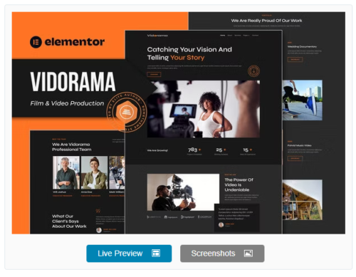 Vidorama - Film & Video Production Service Elementor Template Kit