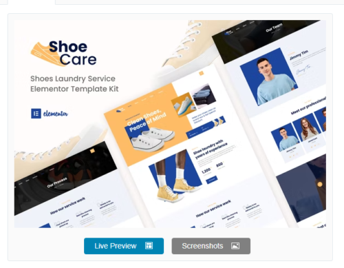 Shoecare - Shoe Laundry Service Elementor Template Kit