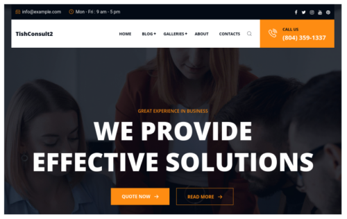 TishConsult2 - Business and Consulting WordPress Theme