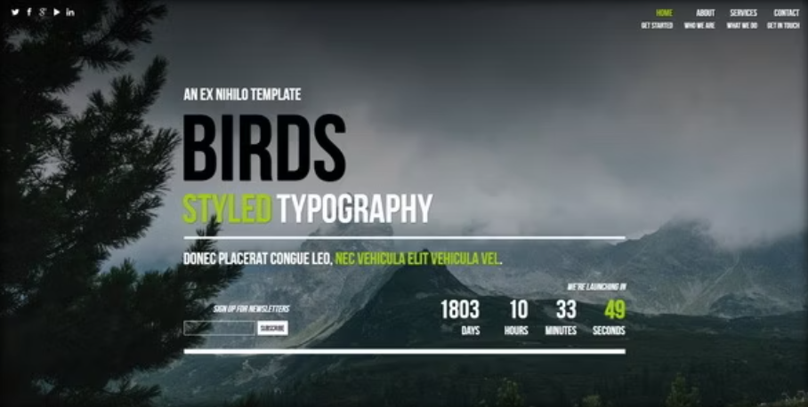 Birds || Responsive Coming Soon Page