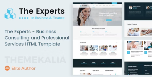 The Experts - Business Consulting Template
