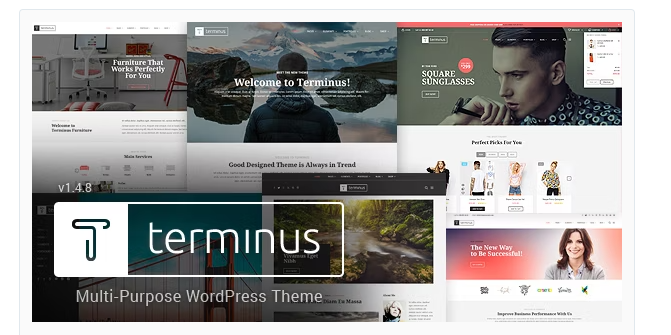 Terminus - Responsive Multi-Purpose WordPress Theme