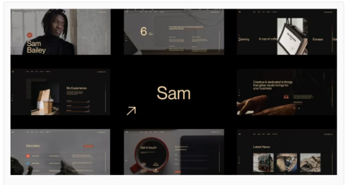 Sam Bailey - Personal CV/Resume WordPress Theme