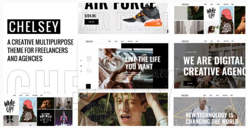 Chelsey - Portfolio Theme for Freelancers and Agencies