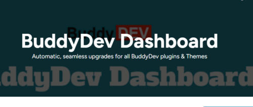 BuddyDev – Dashboard