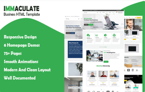 Immaculate Business Multipurpose Consulting HTML Template Website Template