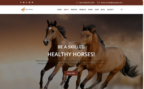 Horse Riding Html templates Website Template