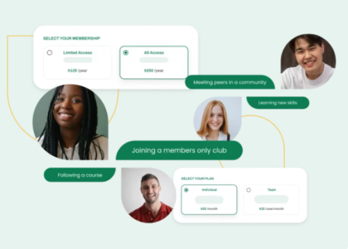 Paid Member Subscriptions Pro