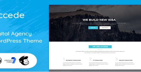 Accede - Digital Agency WordPress Theme  1.0.1